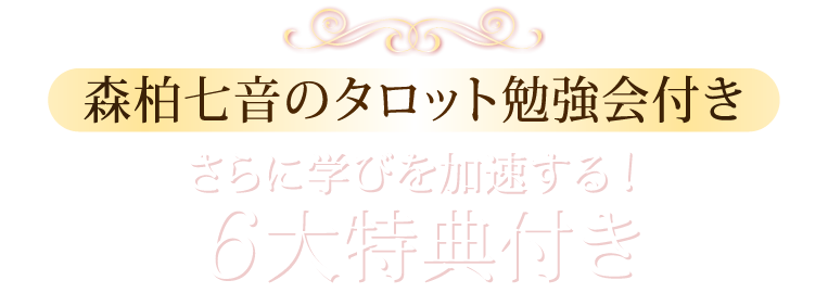 クリスマス特別価格 11,000円OFF! ※12月14日(土)までの限定価格です。